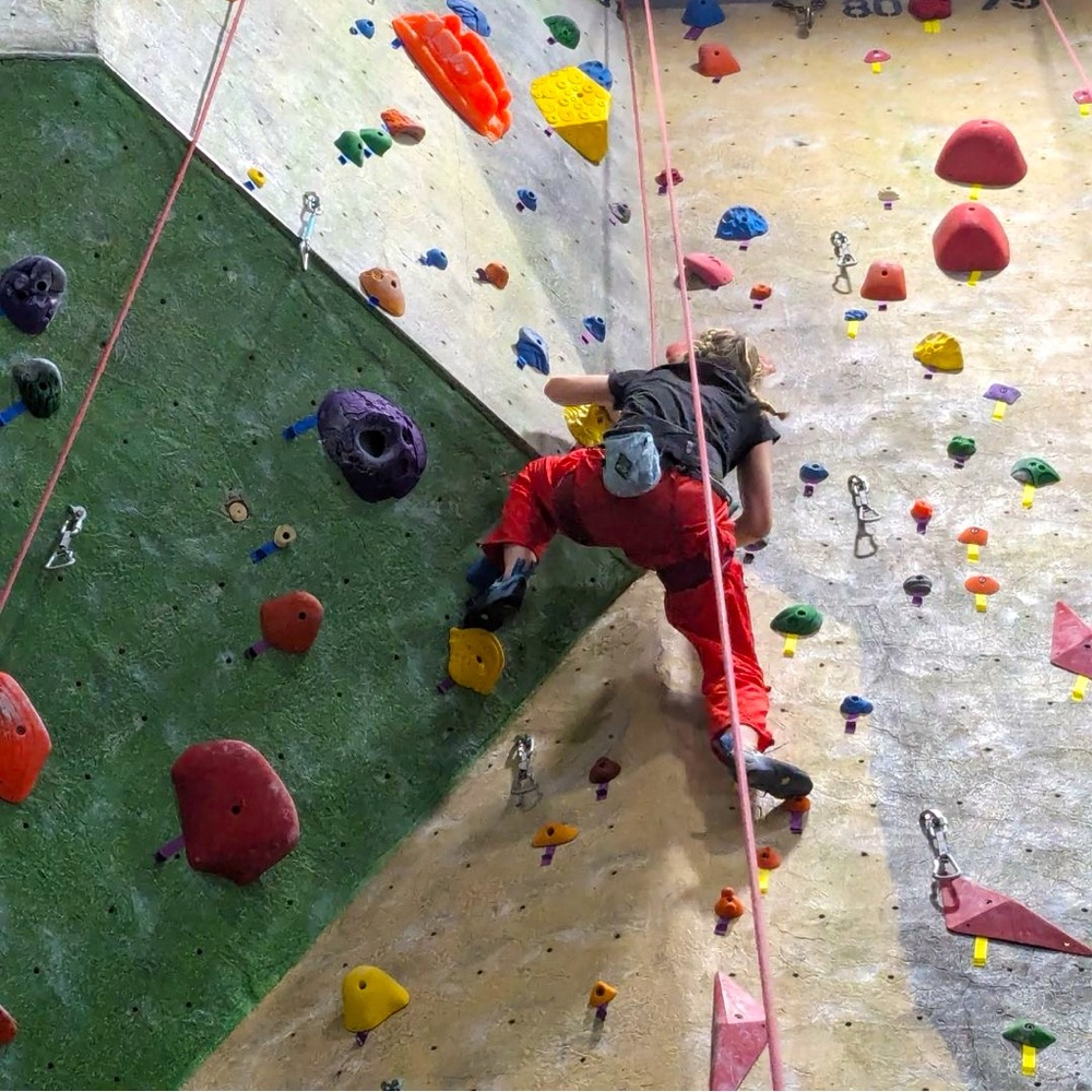 Meet your Posher, Sadie